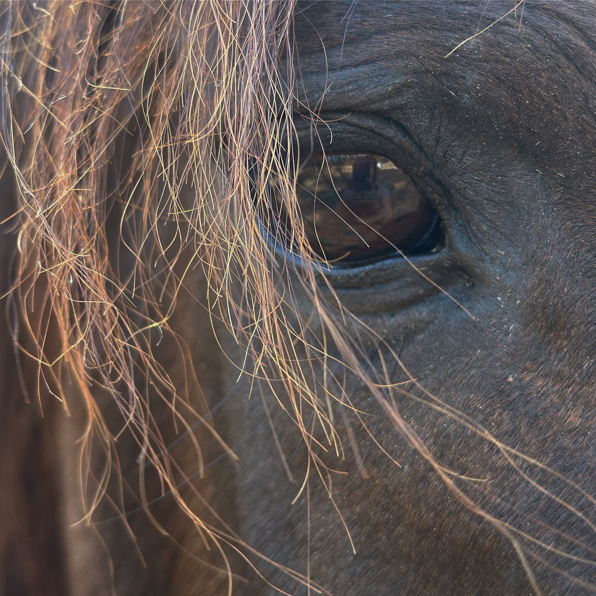 Fotografía Galería 2 31